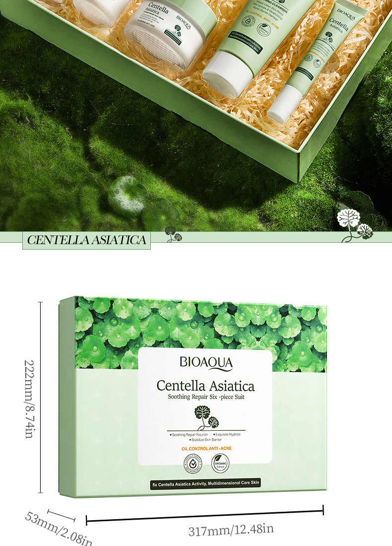 Centella Asiatica Skin Care Set in English BIOAOUA Cleansing, moisturizing and moisturizing six-piece set  foreign trade wholesale