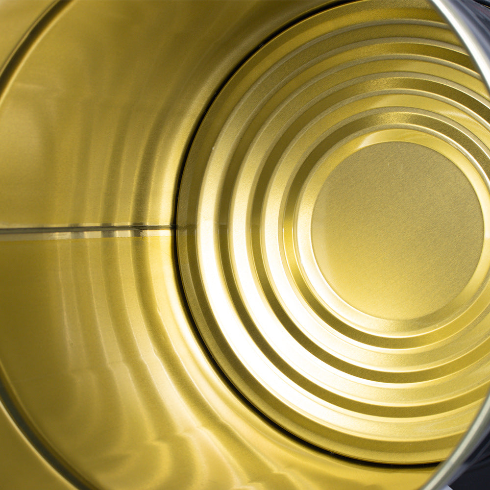 European Standard Large Dry Vacuum Cleaner Home Hotel Super Suction High Power Handheld Bucket Carpet Vacuum Cleaner