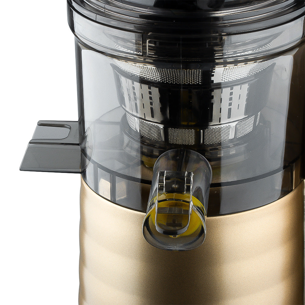 RAF EU Standard Juicer Household Pulp and Juice Separation Fully Automatic Fruit and Vegetable Juicer Easy to Clean Multi-Functional