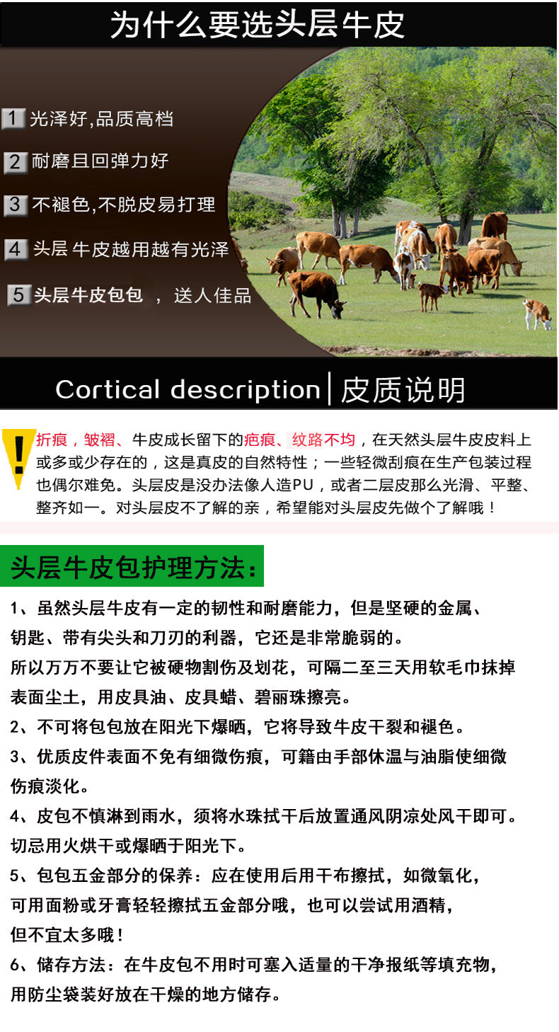 Guangzhou Shiling Genuine Leather Women's Bag for Middle-aged and Elderly Mothers, Multi-pocket Large Capacity Single Shoulder Crossbody Bag Trend